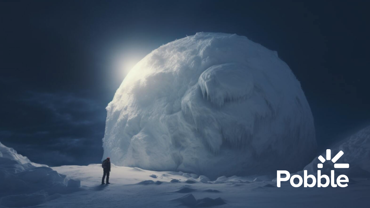 Pobble Snowball surprise