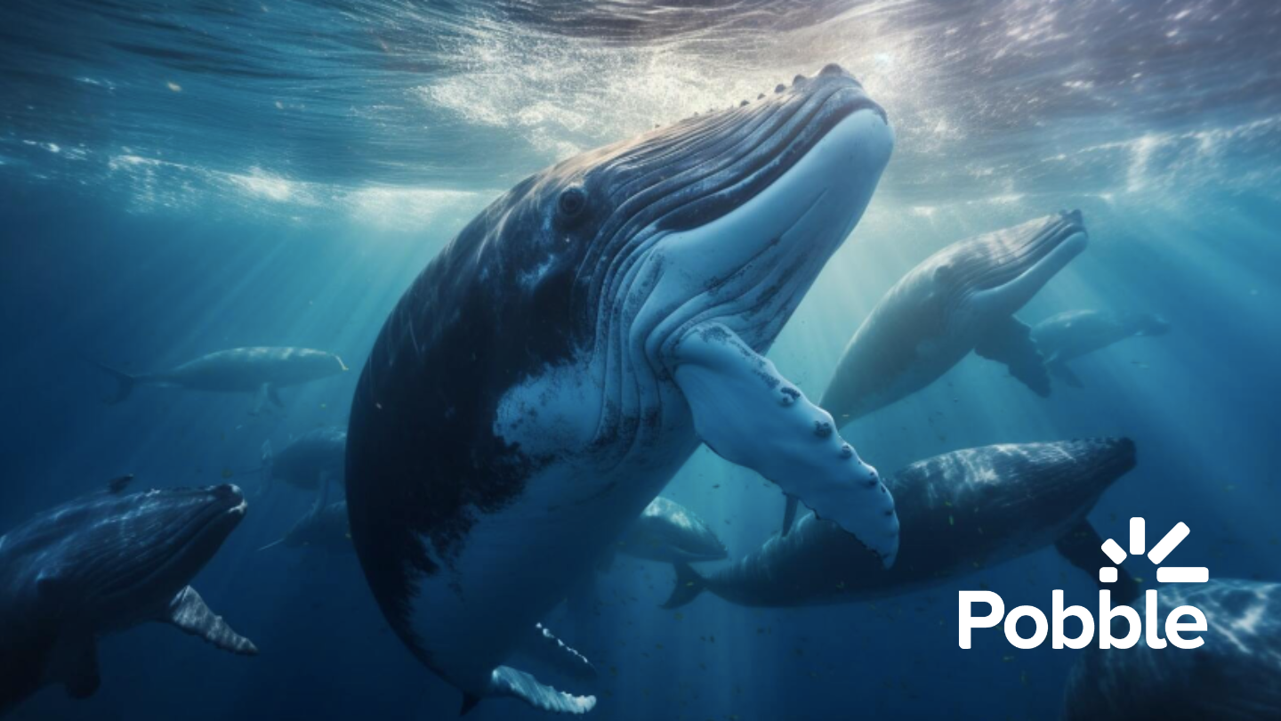 Pobble call of the sea
