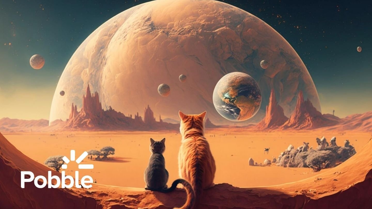 Pobble cat planet