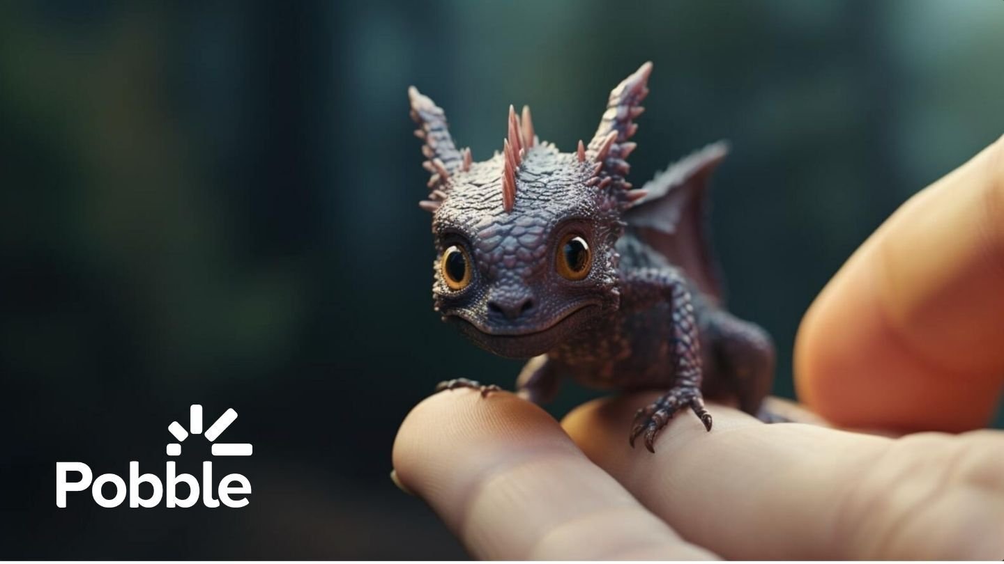 Pobble little dragon