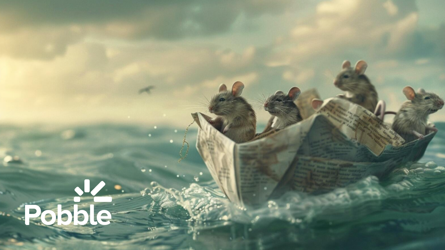 Pobble ocean voyage