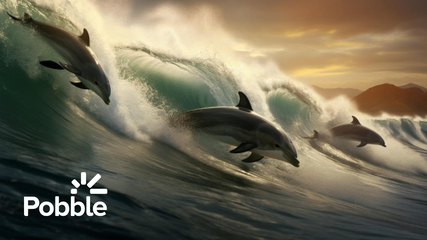 Pobble wave runners